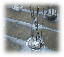 ����� ���� ������ �����